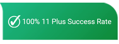 100_-11-Plus-Success-Rate