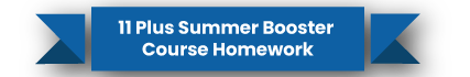 11 plus summer booster homework icon